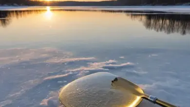 Photo of Как ловить на блесну-планер