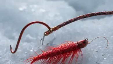 Photo of Как ловить на мормышку с подсадкой мотыля