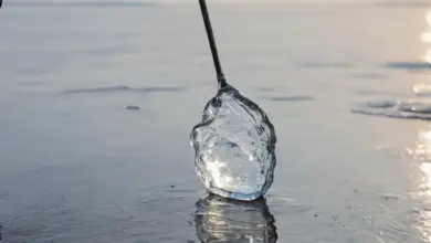 Photo of Как ловить на безмотылку в оттепель