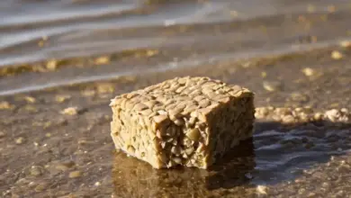 Photo of Жмых и макуха: как приманивать