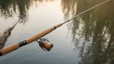 Photo of Как выбрать спиннинг для мормышинга