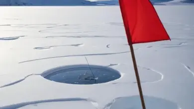Photo of Как ловить на флажок зимой