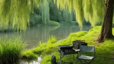 Photo of Фидер на тарань на малой реке