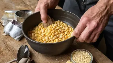 Photo of Как сделать пасту для насадки
