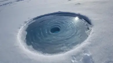 Photo of Зимняя рыбалка на корюшку с блесной