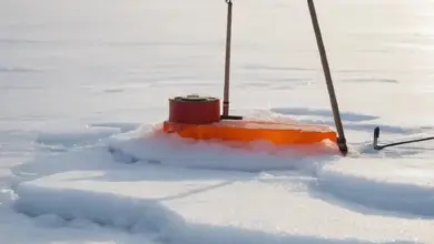 Photo of Как сделать жерлицы на щуку зимой