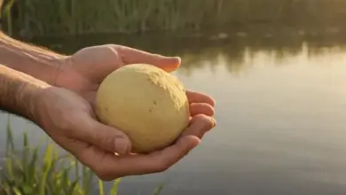 Photo of Картофельное тесто для карася