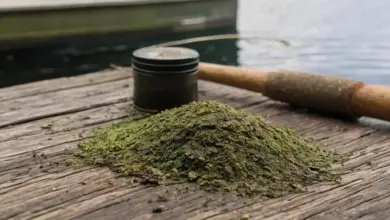 Photo of Жмых конопляный для прикормки