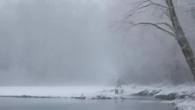 Photo of Как ловить на отводной поводок зимой