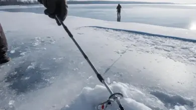 Photo of Зимняя рыбалка на мормышку с кивком