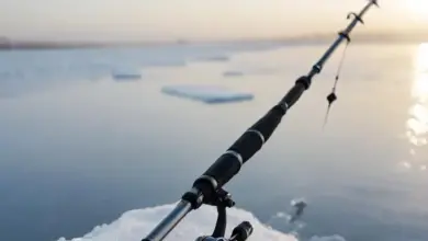 Photo of Зимняя удочка с кивком для мормышки