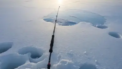 Photo of Как ловить на мормышку с самодельным кивком